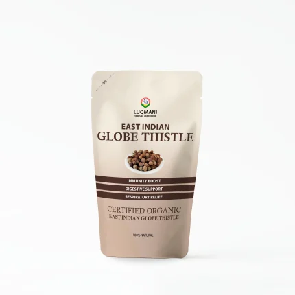 East Indian Globe Thistle