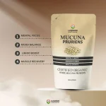 Mucuna Pruriens