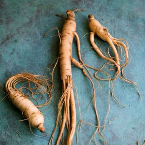 Korean Ginseng