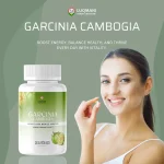 Garcinia Cambogia