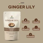 Ginger Lily