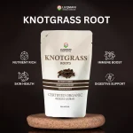 Knotgrass Roots