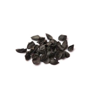 Onion Seeds