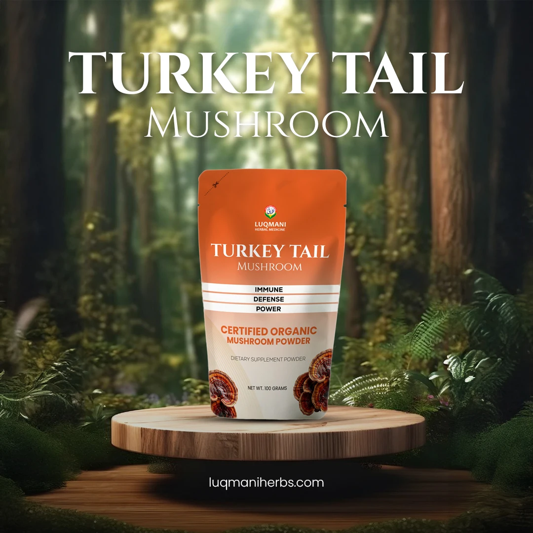 turkey- Turkey tail Mushroom