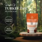 turkey tail mushroom