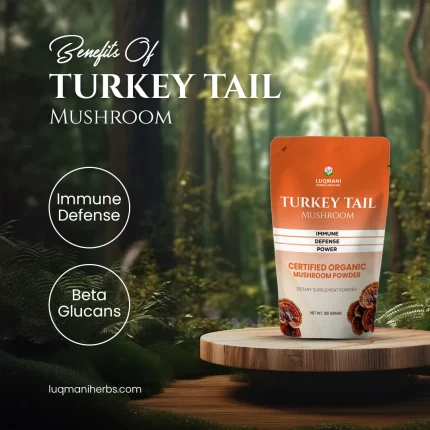 turkey tail mushroom