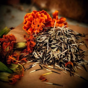 French Marigold Seeds